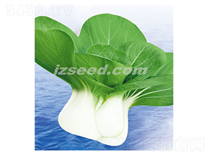 ���r������-С�ײ˷N��-�F���N�I