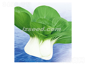 ���r�ذ���-С�ײ˷N��-�F���N�I