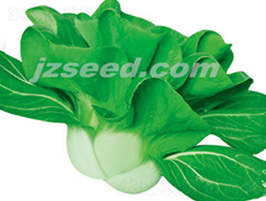 ���r�ذ���-С�ײ˷N��-�F���N�I