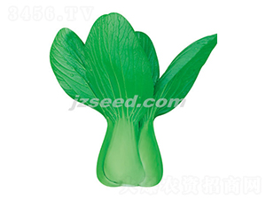 ����21-С�ײ˷N��-�F���N�I