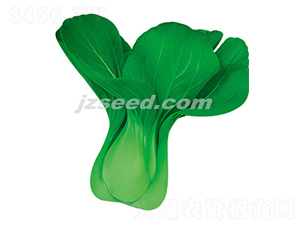 ����22-С�ײ˷N��-�F���N�I