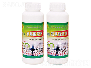 Ģ�����ð�����Һ��-��ػ��� 