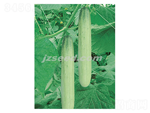 �n���y��-�S�ϷN��-�F���N�I