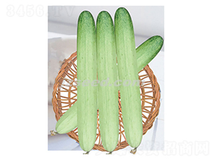 �n���y��-�S�ϷN��-�F���N�I