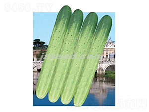 �n���y�S-�S�ϷN��-�F���N�I