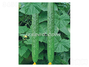 �n��ʮ��-�S�ϷN��-�F���N�I