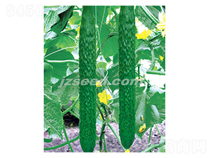 �n�ж�ʮ��-�S�ϷN��-�F���N�I