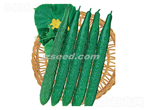 �n�д���-�S�ϷN��-�F���N�I