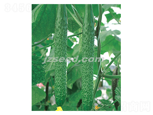 �n�д��G-�S�ϷN��-�F���N�I