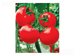 �Ă�1026-���ѷN��-�F���N�I