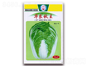 �A������-��ײ˷N��-�A���N�I(y��)