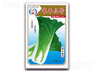 �L�S��̖-��ײ˷N��-�A���N�I(y��)