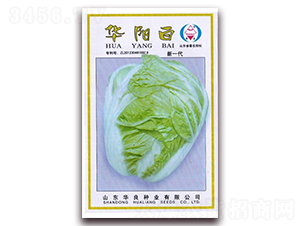 �Aꖰ�-��ײ˷N��-�A���N�I(y��)