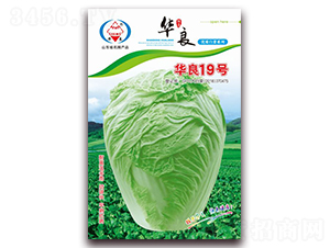 �A��19̖-��ײ˷N��-�A���N�I(y��)