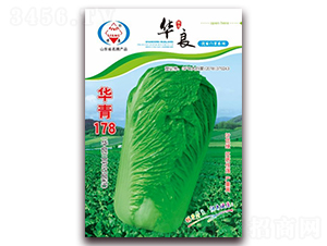 華青178-大白菜種子-華良種業
