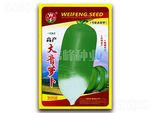 �߮a�����}��-�}���N��-����N�I