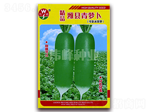 ��Ʒ�H�h���}��-�}���N��-����N�I