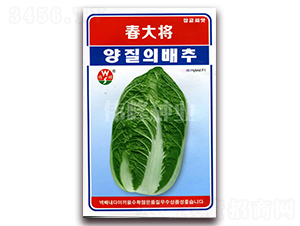 ����-�ײ˷N��-����N�I