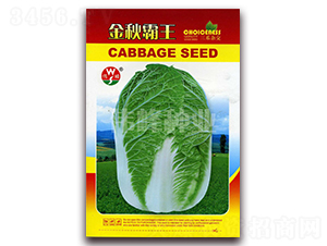 �������-�ײ˷N��-����N�I