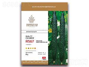 R567-�S�ϷN��-�����r�I