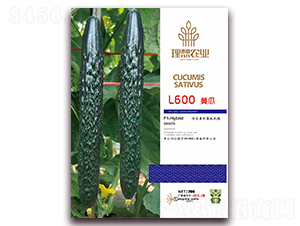 L600-�S�ϷN��-�����r�I