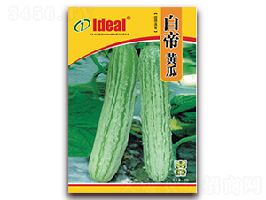 �׵��S��-�S�ϷN��-�����r�I