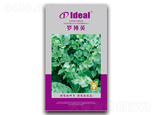 ���_��Ӣ-�}���N��-�����r�I