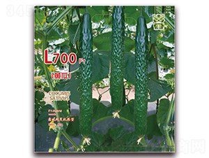 L700-�S�ϷN��-�����r�I