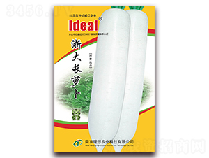 ����L�}��-�}���N��-�����r�I