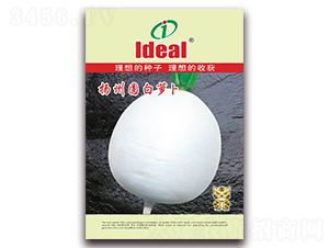 �P�݈A���}��-�}���N��-�����r�I