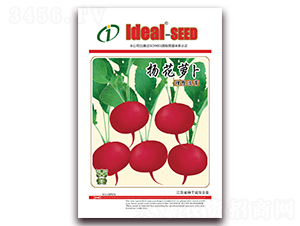 �P���}��-�}���N��-�����r�I