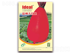 ���ݴ�t��-�}���N��-�����r�I