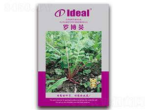 �_��Ӣ-�}���N��-�����r�I