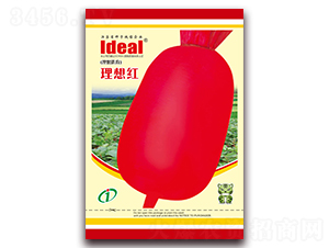 ����t-�}���N��-�����r�I