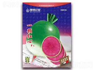 һ�w�t��-�}���N��-�����r�I