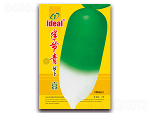 �빝���}��-�}���N��-�����r�I