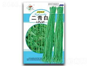 �����-�����N��-���r