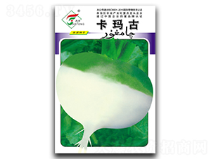 ������-�}���N��-���r