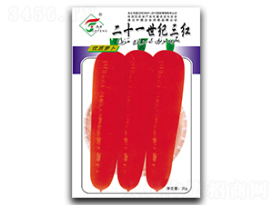 21���o���t-���}���N��-���r