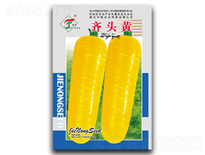 �R�^�S-���}���N��-���r