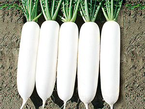 ���r301-�}���N��-���߷N��