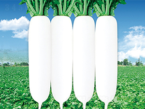 ���r����-�}���N��-���߷N��