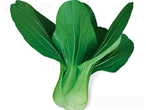 �ă�(y��u)��-�ײ˷N��-���߷N��