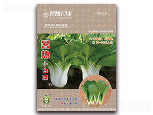 暑熱-青梗菜種子-理想農業