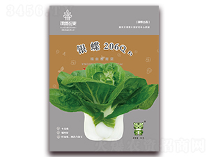 銀蝶206Q-青梗菜種子-理想農業