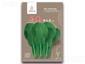 �R���uë��-�๣�˷N��-�����r�I