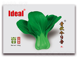 �����9̖-�๣�˷N��-�����r�I