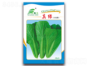 ��G-�ײ˷N��-����