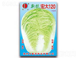 ���120-�ײ˷N��-�����N�I(y��)