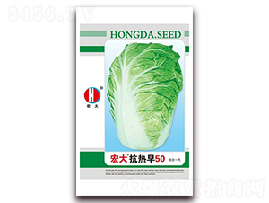 ������50-�ײ˷N��-�����N�I